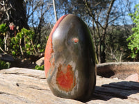 Polished Polychrome / Picasso Jasper Standing Free Forms  x 2 From Madagascar - Toprock Gemstones and Minerals 