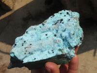 Natural Drusy Coated Chrysocolla Dolomite Specimens x 4 From Congo