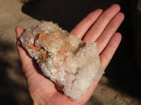 Natural Spirit Cactus Flower Quartz Clusters  x 3 From Boekenhouthoek, South Africa - Toprock Gemstones and Minerals 