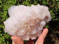 Natural Spirit Cactus Flower Quartz Clusters  x 3 From Boekenhouthoek, South Africa - Toprock Gemstones and Minerals 