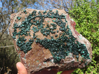 Natural Extra Large Rare Ball Malachite Specimen  x 1 From Congo - Toprock Gemstones and Minerals 