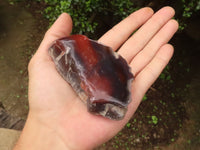 Polished Red River Agate Nodules  x 12 From Sashe River, Zimbabwe - TopRock