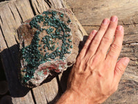 Natural Extra Large Rare Ball Malachite Specimen  x 1 From Congo - Toprock Gemstones and Minerals 