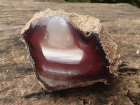 Polished Red River Agate Nodules  x 12 From Sashe River, Zimbabwe - TopRock