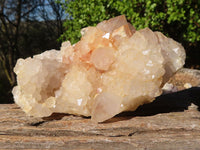 Natural Spirit Cactus Flower Quartz Clusters  x 3 From Boekenhouthoek, South Africa - Toprock Gemstones and Minerals 