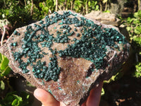 Natural Extra Large Rare Ball Malachite Specimen  x 1 From Congo - Toprock Gemstones and Minerals 