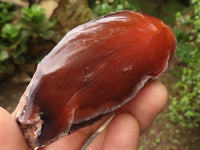 Polished Red River Agate Nodules  x 12 From Sashe River, Zimbabwe - TopRock