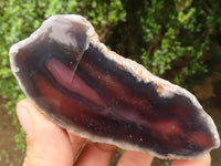 Polished Red River Agate Nodules  x 12 From Sashe River, Zimbabwe - TopRock