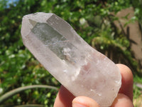 Natural Single Clear Quartz Crystals  x 24 From Madagascar - TopRock