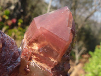 Natural Red Hematoid Phantom Quartz Clusters x 6 From Karoi, Zimbabwe