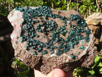 Natural Extra Large Rare Ball Malachite Specimen  x 1 From Congo - Toprock Gemstones and Minerals 