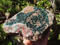 Natural Extra Large Rare Ball Malachite Specimen  x 1 From Congo - Toprock Gemstones and Minerals 