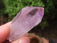 Natural Gemmy Jacaranda Amethyst Crystals  x 20 From Mumbwa, Zambia - Toprock Gemstones and Minerals 