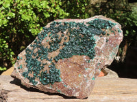 Natural Extra Large Rare Ball Malachite Specimen  x 1 From Congo - Toprock Gemstones and Minerals 