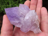 Natural Gemmy Jacaranda Amethyst Crystals  x 20 From Mumbwa, Zambia - Toprock Gemstones and Minerals 