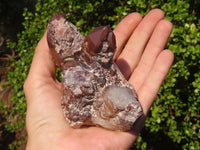 Natural Red Hematoid Phantom Quartz Clusters x 6 From Karoi, Zimbabwe