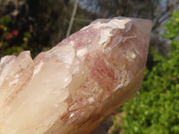 Natural Red Hematoid Phantom Quartz Clusters x 6 From Karoi, Zimbabwe