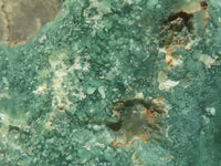 Polished Mtorolite Emerald Chrysoprase Plates  x 2 From Zimbabwe - TopRock