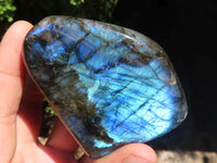 Polished Labradorite Standing Free Forms With Blue Flash  x 3 From Tulear, Madagascar - TopRock