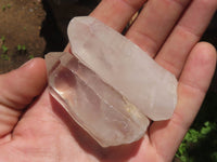 Natural Single Clear Quartz Crystals  x 24 From Madagascar - TopRock