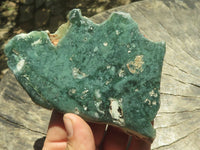 Polished Mtorolite Emerald Chrysoprase Plates  x 2 From Zimbabwe - TopRock