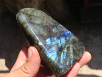 Polished Labradorite Standing Free Forms With Blue Flash  x 3 From Tulear, Madagascar - TopRock