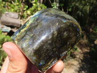 Polished Labradorite Standing Free Forms With Blue Flash  x 3 From Tulear, Madagascar - TopRock