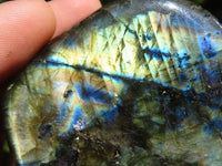 Polished Labradorite Standing Free Forms With Blue Flash  x 3 From Tulear, Madagascar - TopRock