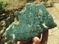 Polished Mtorolite Emerald Chrysoprase Plates  x 2 From Zimbabwe - TopRock