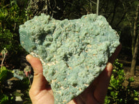 Polished One Side Polished Mtorolite / Emerald Chrysoprase Plates x 2 From Zimbabwe - Toprock Gemstones and Minerals 