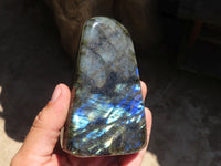 Polished Labradorite Standing Free Forms With Blue Flash  x 3 From Tulear, Madagascar - TopRock