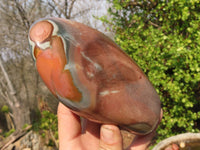 Polished Polychrome Jasper Standing Free Form  x 1 From Madagascar