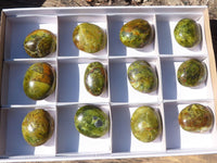 Polished Green Opal Palm Stones  x 12 From Antsirabe, Madagascar - Toprock Gemstones and Minerals 