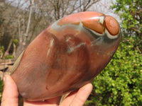 Polished Polychrome Jasper Standing Free Form  x 1 From Madagascar