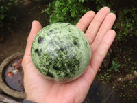 Polished Leopard Stone Spheres  x 2 From Zimbabwe - Toprock Gemstones and Minerals 