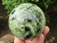 Polished Leopard Stone Spheres  x 2 From Zimbabwe - Toprock Gemstones and Minerals 