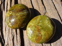 Polished Green Opal Palm Stones  x 12 From Antsirabe, Madagascar - Toprock Gemstones and Minerals 