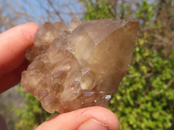 Natural Small Cascading White Phantom Smokey Quartz Crystals x 35 From Luena, Congo