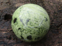 Polished Leopard Stone Spheres  x 2 From Zimbabwe - Toprock Gemstones and Minerals 