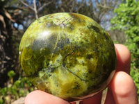 Polished Green Opal Palm Stones  x 12 From Antsirabe, Madagascar - Toprock Gemstones and Minerals 