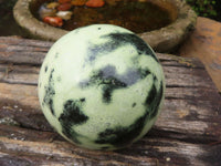 Polished Leopard Stone Spheres  x 2 From Zimbabwe - Toprock Gemstones and Minerals 