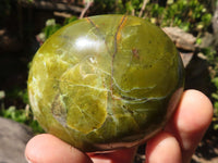 Polished Green Opal Palm Stones  x 12 From Antsirabe, Madagascar - Toprock Gemstones and Minerals 