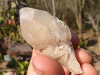 Natural Small Cascading White Phantom Smokey Quartz Crystals x 35 From Luena, Congo