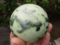 Polished Leopard Stone Spheres  x 2 From Zimbabwe - Toprock Gemstones and Minerals 