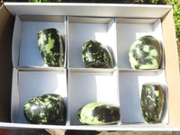 Polished Green Leopard Stone Standing Free Forms  x 12 From Zimbabwe - Toprock Gemstones and Minerals 