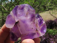 Polished Window Amethyst Quartz Points  x 6 From Akansobe, Madagascar - TopRock