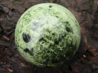 Polished Leopard Stone Spheres  x 2 From Zimbabwe - Toprock Gemstones and Minerals 