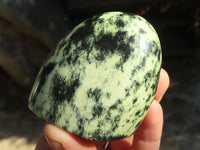 Polished Green Leopard Stone Standing Free Forms  x 12 From Zimbabwe - Toprock Gemstones and Minerals 