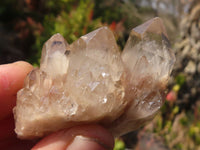 Natural Small Cascading White Phantom Smokey Quartz Crystals x 35 From Luena, Congo