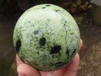 Polished Leopard Stone Spheres  x 2 From Zimbabwe - Toprock Gemstones and Minerals 